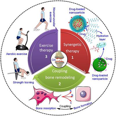 Current Strategies for the Treatment of Early Stage Osteoarthritis